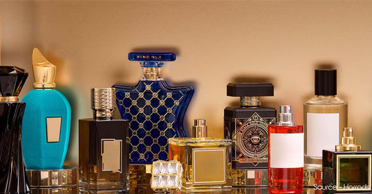 50 Plus Fragrance Quotes & Captions For Instagram - CosIQ